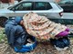 Torino, Vanchiglietta si mobilita per il senzatetto Oliviero
