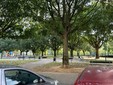 I giardini a pochi passi dal supermercato Esselunga e nella zona di Lingotto e Nizza MIllefonti