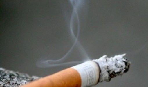 Maxi-blitz della Finanza e Carabinieri, smantellata rete che produceva e contrabbandava sigarette: sequestrati 140 mln Maxi-blitz della Finanza e Carabinieri, smantellata rete che produceva e contrabbandava sigarette: sequestrati 140 mln