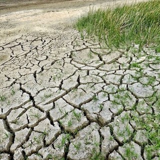 Nuove misure contro la siccità in Piemonte Nuove misure contro la siccità in Piemonte