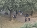 giardini con spacciatori