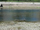 Con ePOsistema, in 15 mesi raccolti oltre 130 chili di rifiuti dal fiume di Torino
