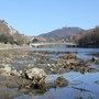 Crisi idrica, Confcooperative Agroalimentare e Pesca Piemonte: "Salvare i raccolti e aprire un tavolo permanente sull’acqua" Crisi idrica, Confcooperative Agroalimentare e Pesca Piemonte: "Salvare i raccolti e aprire un tavolo permanente sull’acqua"