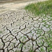 Nuove misure contro la siccità in Piemonte Nuove misure contro la siccità in Piemonte