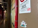 Palazzo Nuovo dopo l'occupazione, Geuna: &quot;Danni per migliaia di euro. Valutiamo se chiedere risarcimenti&quot; [FOTO E VIDEO]