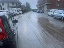 A Moncalieri, dopo la 'tempesta perfetta' di domenica, la viabilità tornata regolare