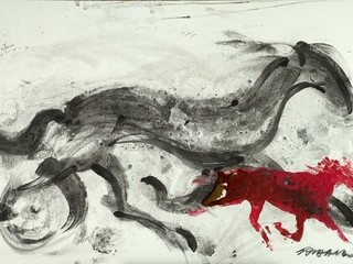 Alcune stampe donate dalla famiglia alle Molinette Alcune stampe donate dalla famiglia alle Molinette