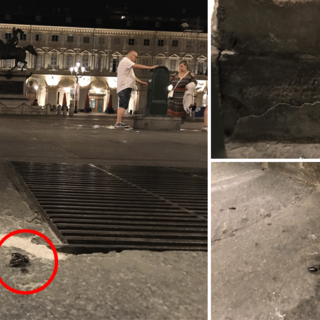 Sporcizia e scarafaggi nel &quot;salotto di Torino&quot;: invasione di blatte nere in piazza San Carlo [VIDEO]