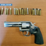 La pistola trovata a casa dell'uomo arrestato