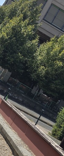 Nuove segnalazioni di degrado in via Fenoglietti, Nizza Millefonti Nuove segnalazioni di degrado in via Fenoglietti, Nizza Millefonti