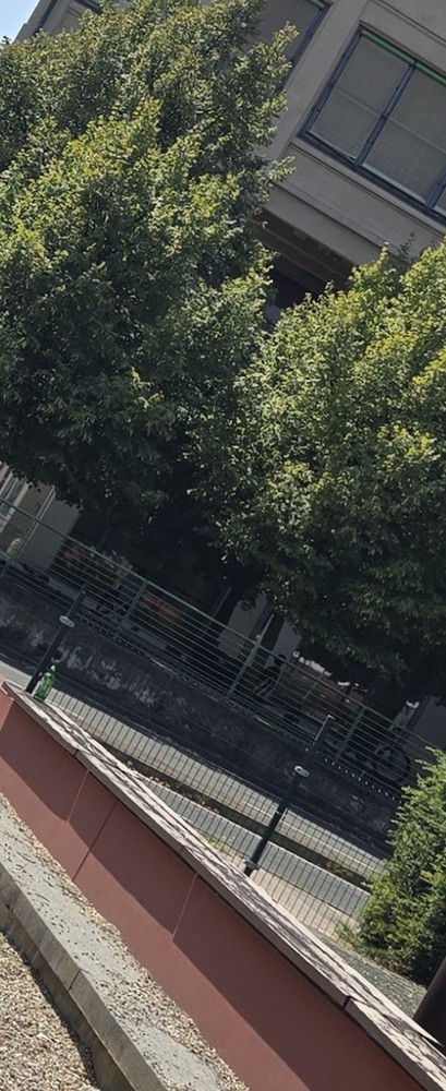 Nuove segnalazioni di degrado in via Fenoglietti, Nizza Millefonti Nuove segnalazioni di degrado in via Fenoglietti, Nizza Millefonti