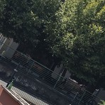 Nuove segnalazioni di degrado in via Fenoglietti, Nizza Millefonti Nuove segnalazioni di degrado in via Fenoglietti, Nizza Millefonti