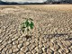 Crisi idrica: Pinerolo emana l’ordinanza per limitare l’uso dell’acqua potabile