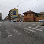 Strisce pedonali fantasmi a Torino, Lo Russo: "Useremo vernici più durevoli"