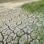 Nuove misure contro la siccità in Piemonte Nuove misure contro la siccità in Piemonte