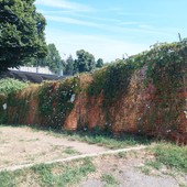 Infiltrazioni e vandalismi sulla scalinata di via Lomellina: &quot;Riqualificazione non prioritaria&quot;