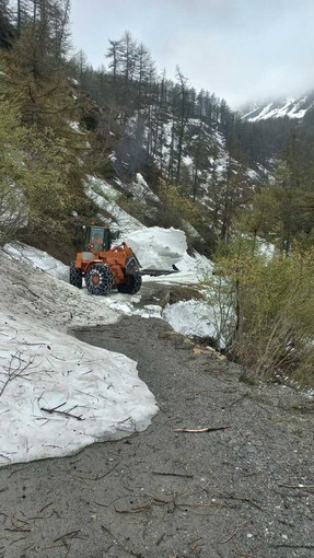 Sgombero neve lungo il Colle delle Finestre