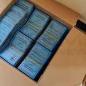 Anche Torino e il Piemonte si preparano al voto per il referendum