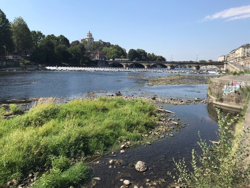 S.O.S. Po, il fiume sta sparendo: a Torino livello idrometrico a zero, riaffiorano isolotti e rifiuti [FOTO e VIDEO]