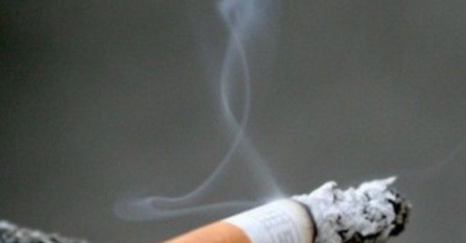Maxi-blitz della Finanza e Carabinieri, smantellata rete che produceva e contrabbandava sigarette: sequestrati 140 mln