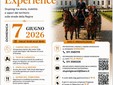 La locandina dell'iniziativa di domenica 7 giugno