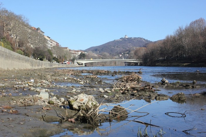 Crisi idrica, Confcooperative Agroalimentare e Pesca Piemonte: "Salvare i raccolti e aprire un tavolo permanente sull’acqua"