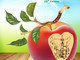 Ultimo Week End di Tuttomele™ a “Cavour il cuore delle mele”