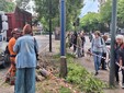Ancora proteste per il taglio degli alberi in corso Belgio