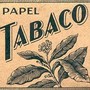 Smettere di fumare nicotina: le alternative naturali al tabacco che funzionano davvero Smettere di fumare nicotina: le alternative naturali al tabacco che funzionano davvero