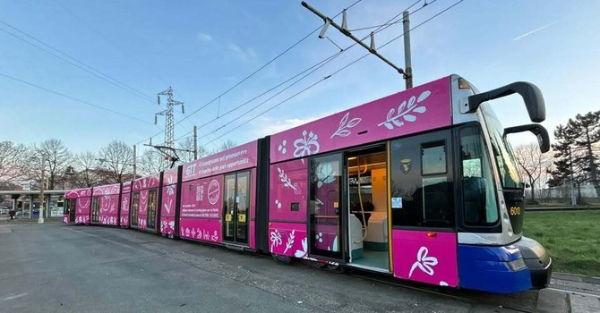 Uno dei tram in servizio a Torino per Gtt