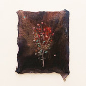 La natura di Luca Isola fiorisce nell'ex teatro di Palazzo Saluzzo Paesana La natura di Luca Isola fiorisce nell'ex teatro di Palazzo Saluzzo Paesana