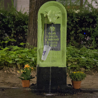 Extinction Rebellion dipinge di verde fluo un Toret a Torino