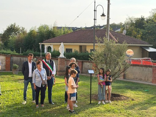 La piantumazione di un ulivo a Valle Sauglio La piantumazione di un ulivo a Valle Sauglio