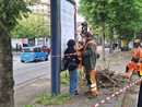 Ancora proteste per il taglio degli alberi in corso Belgio Ancora proteste per il taglio degli alberi in corso Belgio