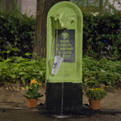 Extinction Rebellion dipinge di verde fluo un Toret a Torino