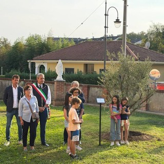 La piantumazione di un ulivo a Valle Sauglio La piantumazione di un ulivo a Valle Sauglio