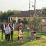 La piantumazione di un ulivo a Valle Sauglio La piantumazione di un ulivo a Valle Sauglio