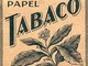 Smettere di fumare nicotina: le alternative naturali al tabacco che funzionano davvero Smettere di fumare nicotina: le alternative naturali al tabacco che funzionano davvero