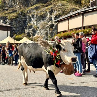 A Usseglio, tutto pronto per la Festa della transumanza e degli orti di montagna