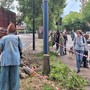 Valanga di firme per salvare gli alberi: la doppia protesta arriva in Comune