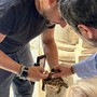 A Moncalieri messa in salvo una tartaruga dispersa (o abbandonata)