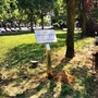 Nuova vita per la targa di capitan Mazzola