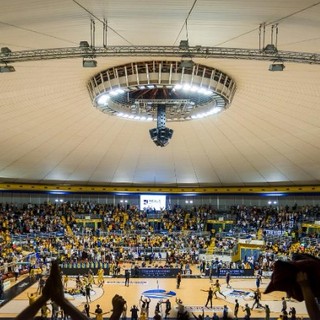 tifosi basket torino