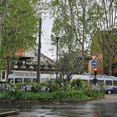 Tram che passa davanti ad aiuole con erba alta