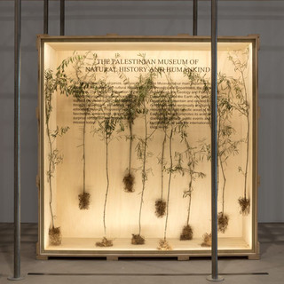 La storia e l'arte di Gaza in un mostra firmata da Museo Egizio, Mah di Ginevra e Fondazione Merz La storia e l'arte di Gaza in un mostra firmata da Museo Egizio, Mah di Ginevra e Fondazione Merz