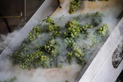 Coldiretti Piemonte sul vino:&quot;Serve liquidità per salvare cantine”