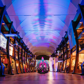 Al Museo Regionale di Scienze Naturali, la collazione dialoga con le nuove opere di NUCLEO Al Museo Regionale di Scienze Naturali, la collazione dialoga con le nuove opere di NUCLEO