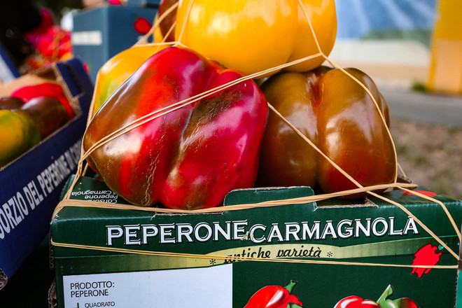Annata difficile, ma di grande qualità, ottimo mercato per il Peperone di Carmagnola [VIDEO]