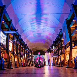 Al Museo Regionale di Scienze Naturali, la collazione dialoga con le nuove opere di NUCLEO Al Museo Regionale di Scienze Naturali, la collazione dialoga con le nuove opere di NUCLEO