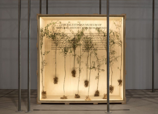 La storia e l'arte di Gaza in un mostra firmata da Museo Egizio, Mah di Ginevra e Fondazione Merz